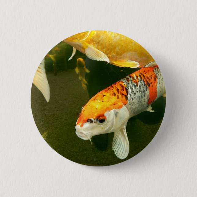 Koi Carp Badge 2 Inch Round Button (Front)