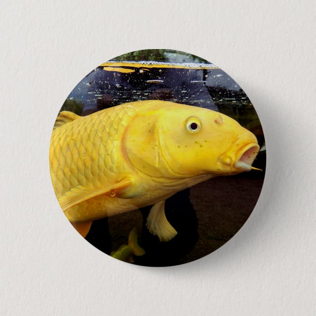 Koi Carp Badge 2 Inch Round Button (Front)