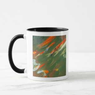Koi carp fish swimming in a pond mug