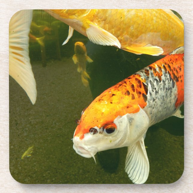 Koi Carp Hard Plastic Coaster (Front)