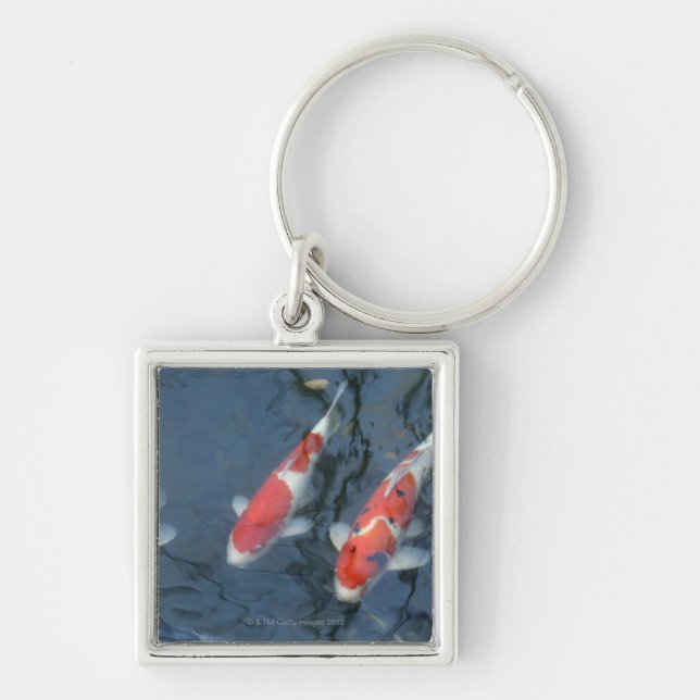 Koi carp in pond, high angle view keychain (Front)