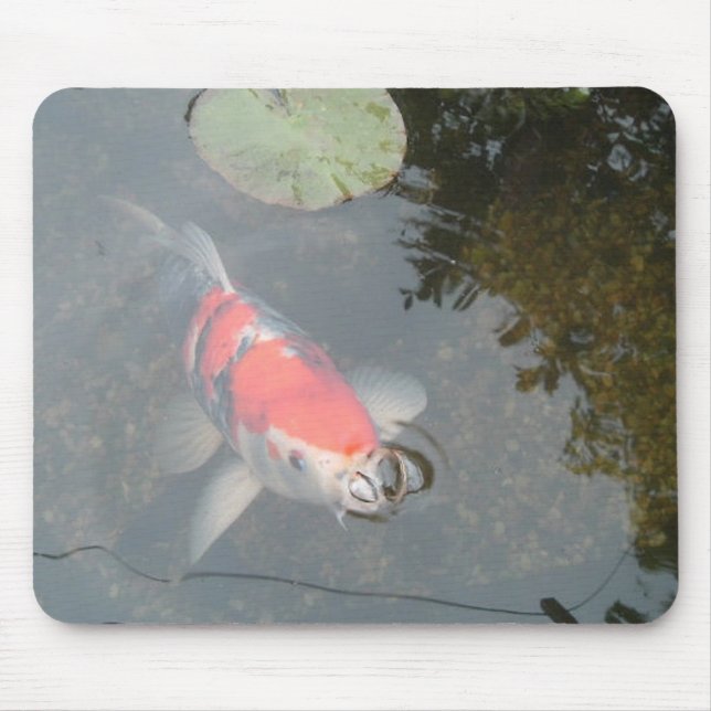 Koi Carp up Close View Mousepad (Front)