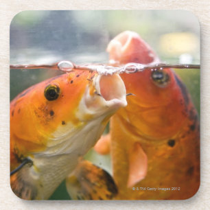 Koi carps coaster