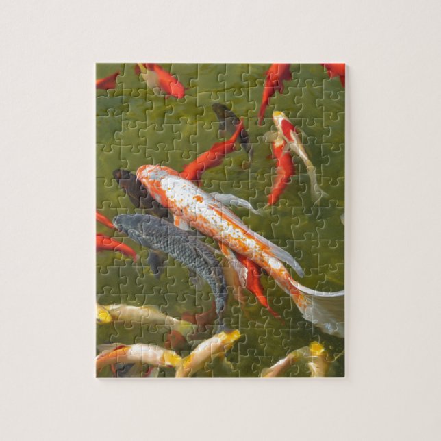 Koi carps in pond jigsaw puzzle (Vertical)