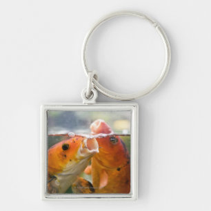 Koi carps keychain