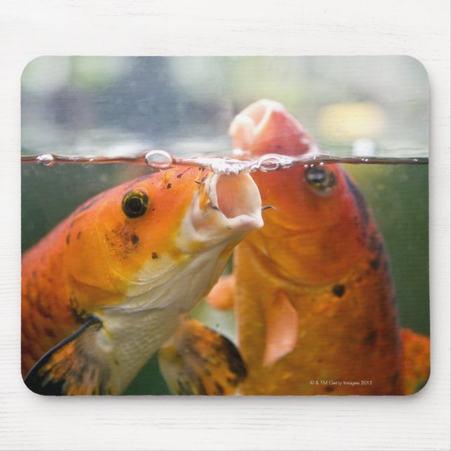 Koi carps mouse pad (Front)