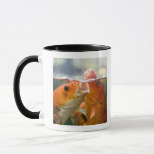 Koi carps mug