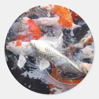 Koi crowd classic round sticker