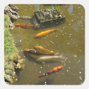 Koi Fish #3 Stickers