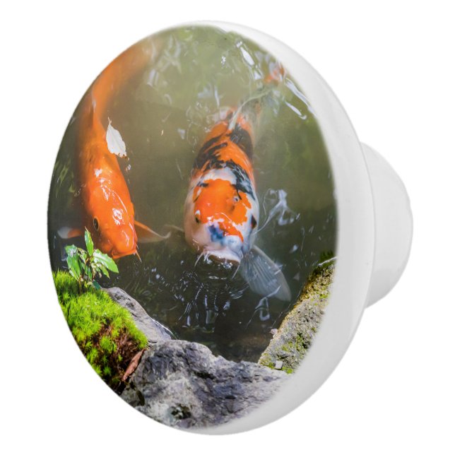 Koi fish in a pond ceramic knob (Right)