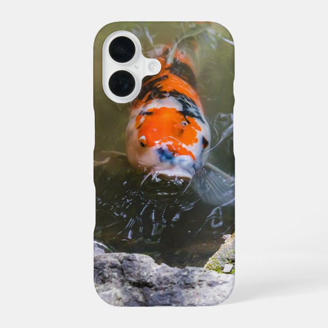 Koi fish in a pond iPhone 16 case (Back)