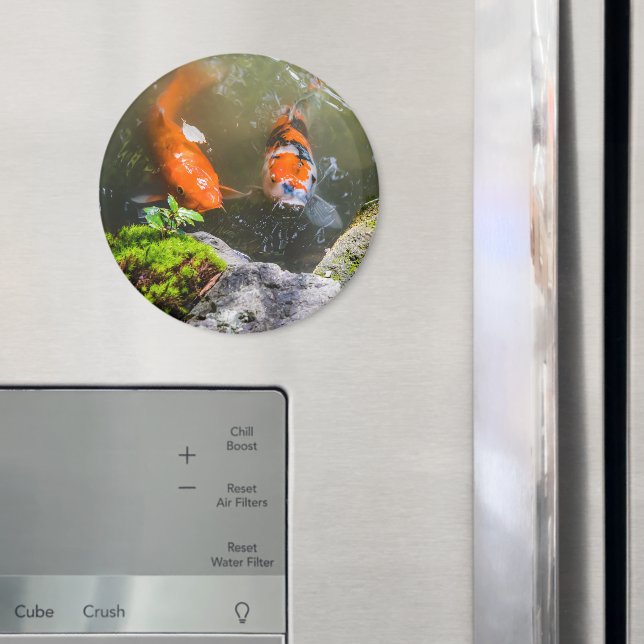 Koi fish in a pond magnet (In Situ (Fridge))