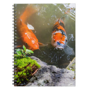 Koi fish in a pond notebook