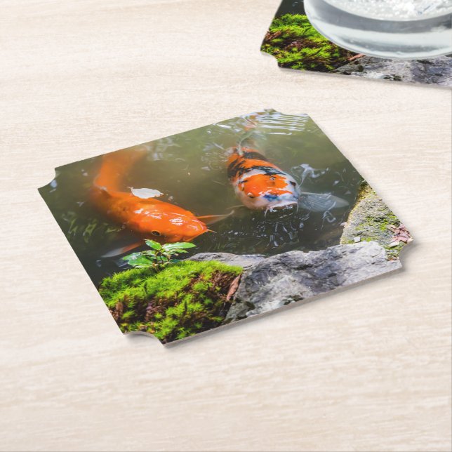 Koi fish in a pond paper coaster (Angled)