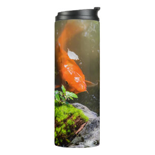 Koi fish in a pond thermal tumbler