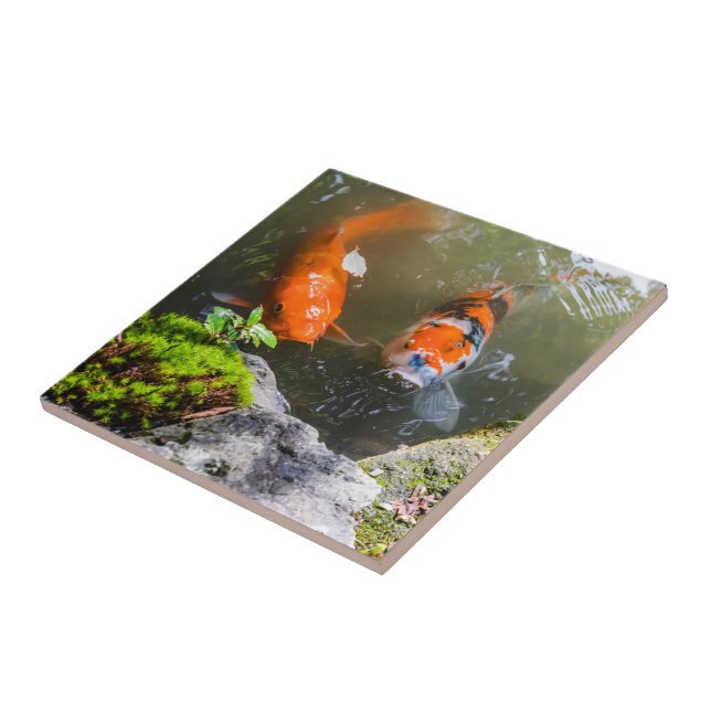 Koi fish in a pond tile (Side)