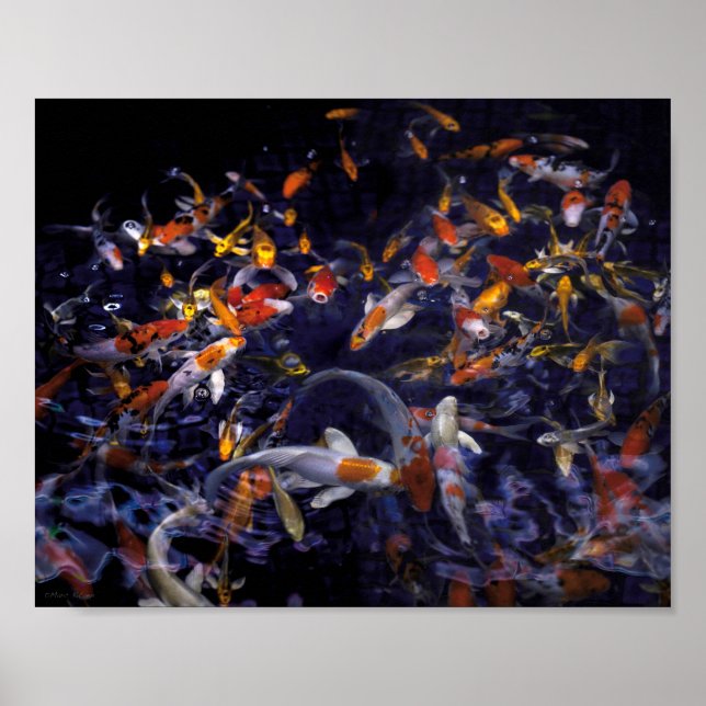 KOI FISH OVER FLOWING POSTER (Front)