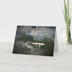 Koi Fish Pond Holiday Card