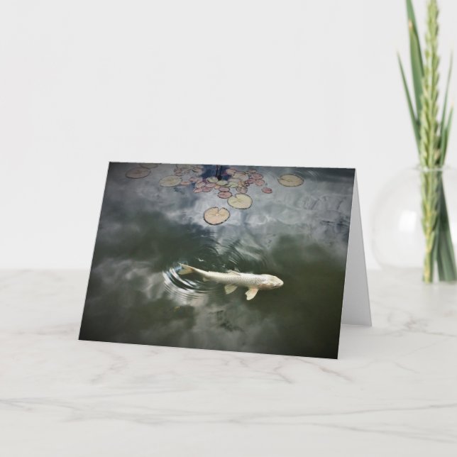 Koi Fish Pond Holiday Card (Front)