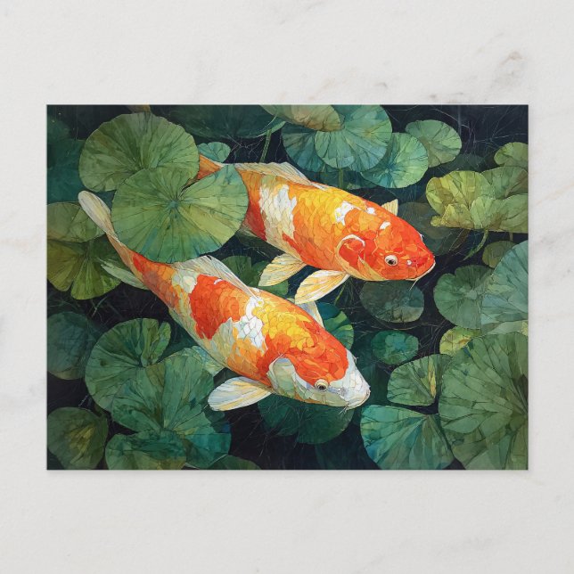 Koi Fish Pond Lily Pads Postcard (Front)