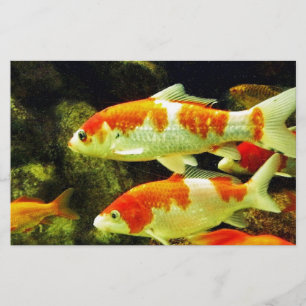 koi Fish Stationery