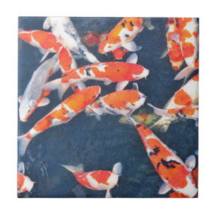Koi fish tile