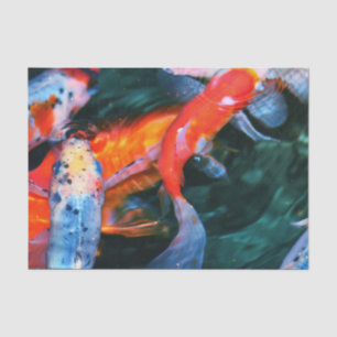 Koi Fish Tissue Paper