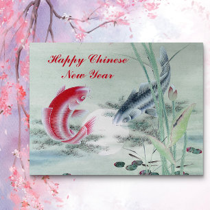 Koi Fish with Lotus  Postcard