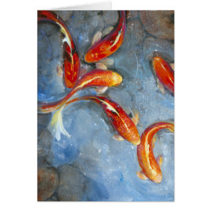 Koi gracieux II