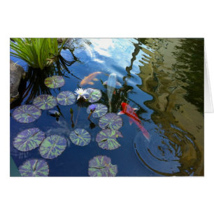 Koi Pond