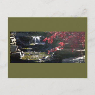 Koi Pond at HFSC Postcard