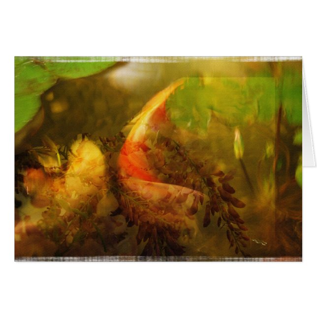 Koi pond collage - Card (Front Horizontal)