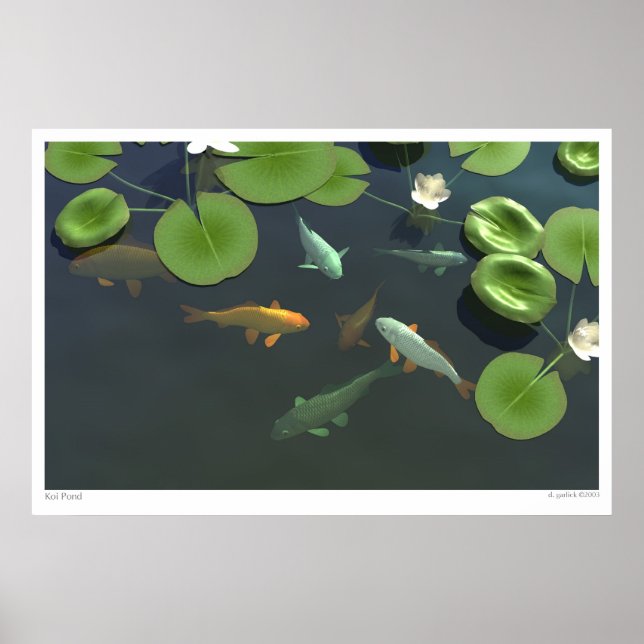 Koi Pond Poster (Front)