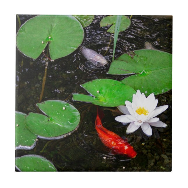 Koi Pond Tile (Front)