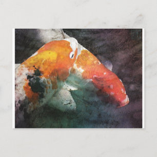 Koi Postcard