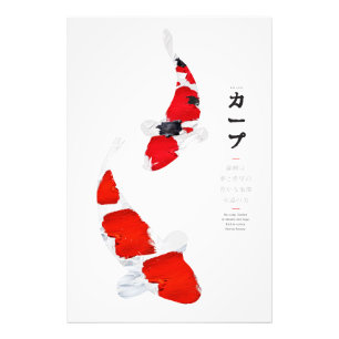 Koi Serenity: Kohaku and Sanke Photo Print