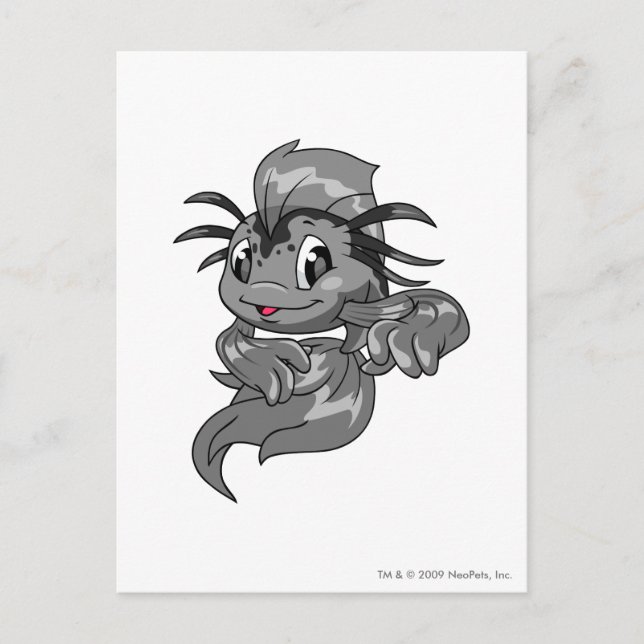 Koi Shadow Postcard (Front)
