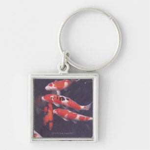Koi swimming in pool keychain