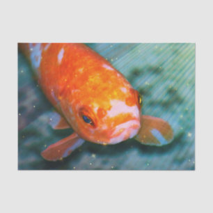Koi Tissue Paper