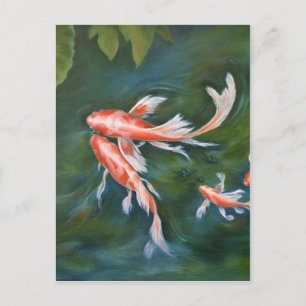 Koi Tranquillity Postcard