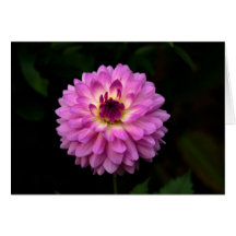 Koinonia "Bourse Sur Le Chemin"