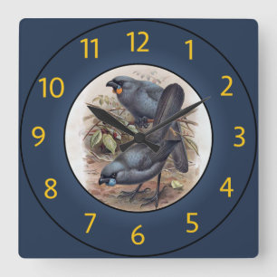 Kōkako Callaeas Wilsoni, Kōkako Callaeas Cinereus~ Square Wall Clock