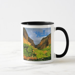 Kolob Canyon at Zion Canyon in Zion National Mug