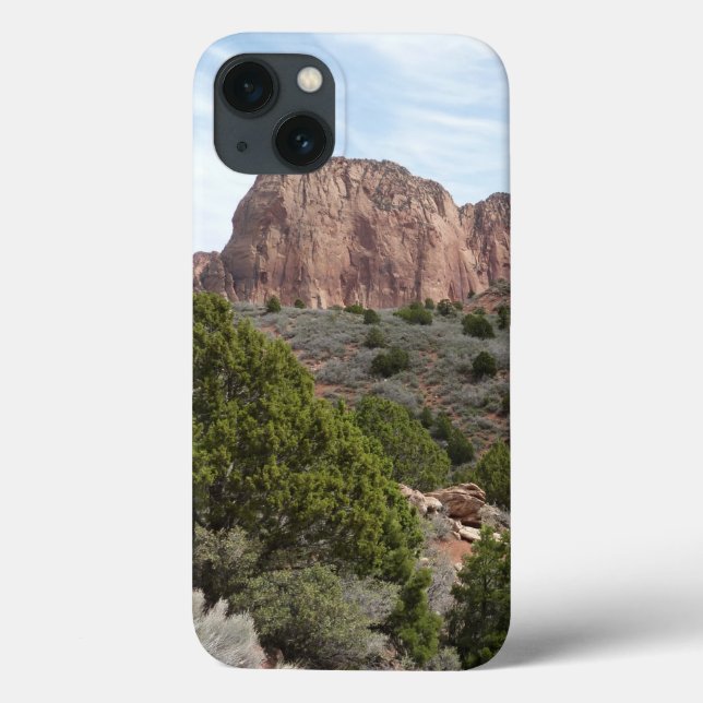 Kolob Canyons at Zion National Park Case-Mate iPhone Case (Back)