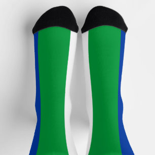 Komi Republic Flag Socks