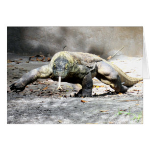 Komodo Dragon (0751)