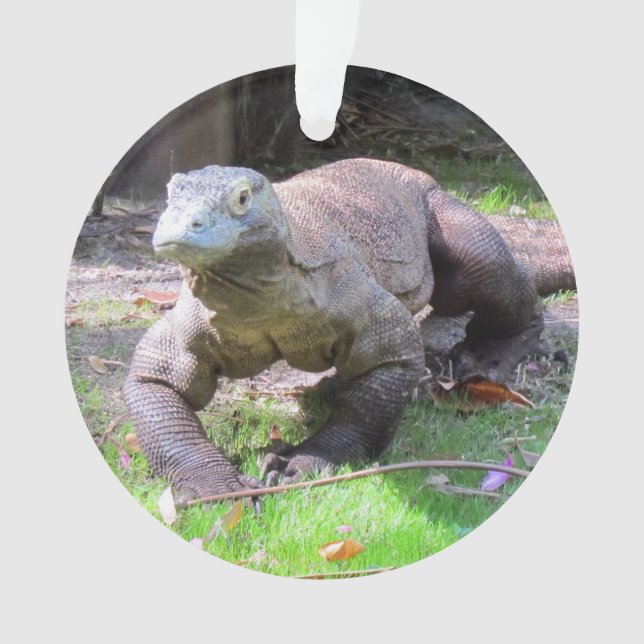 Komodo Dragon - Acrylic Ornament (Front)