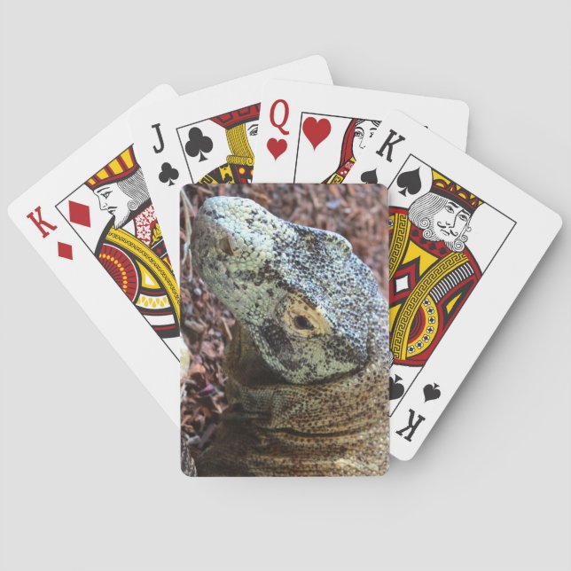 Komodo Dragon Cards (Back)