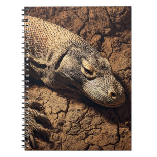 Komodo Dragon Earth Tones Notebook