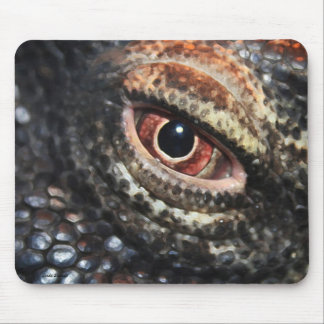 Komodo Dragon Eye mousepad